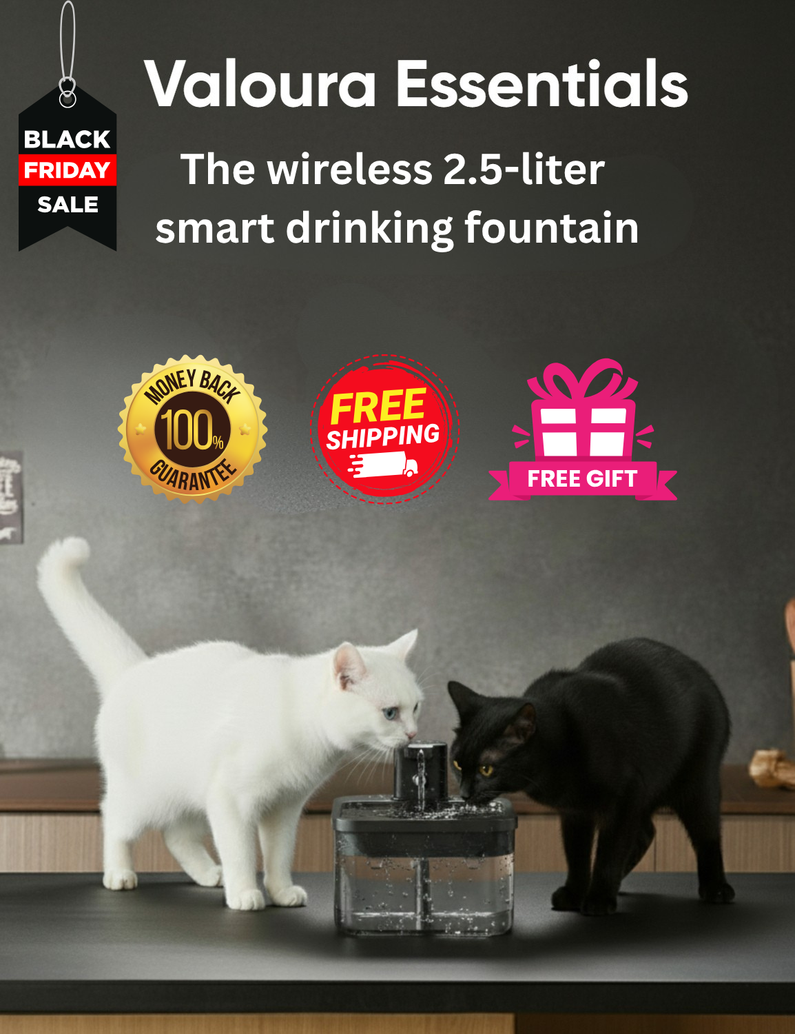 ValouraEssentials ™ Cordless 2.5L Smart Fountain Bundle