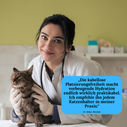 ValouraEssentials™ Cordless 2.5L Smart Fountain Bundle