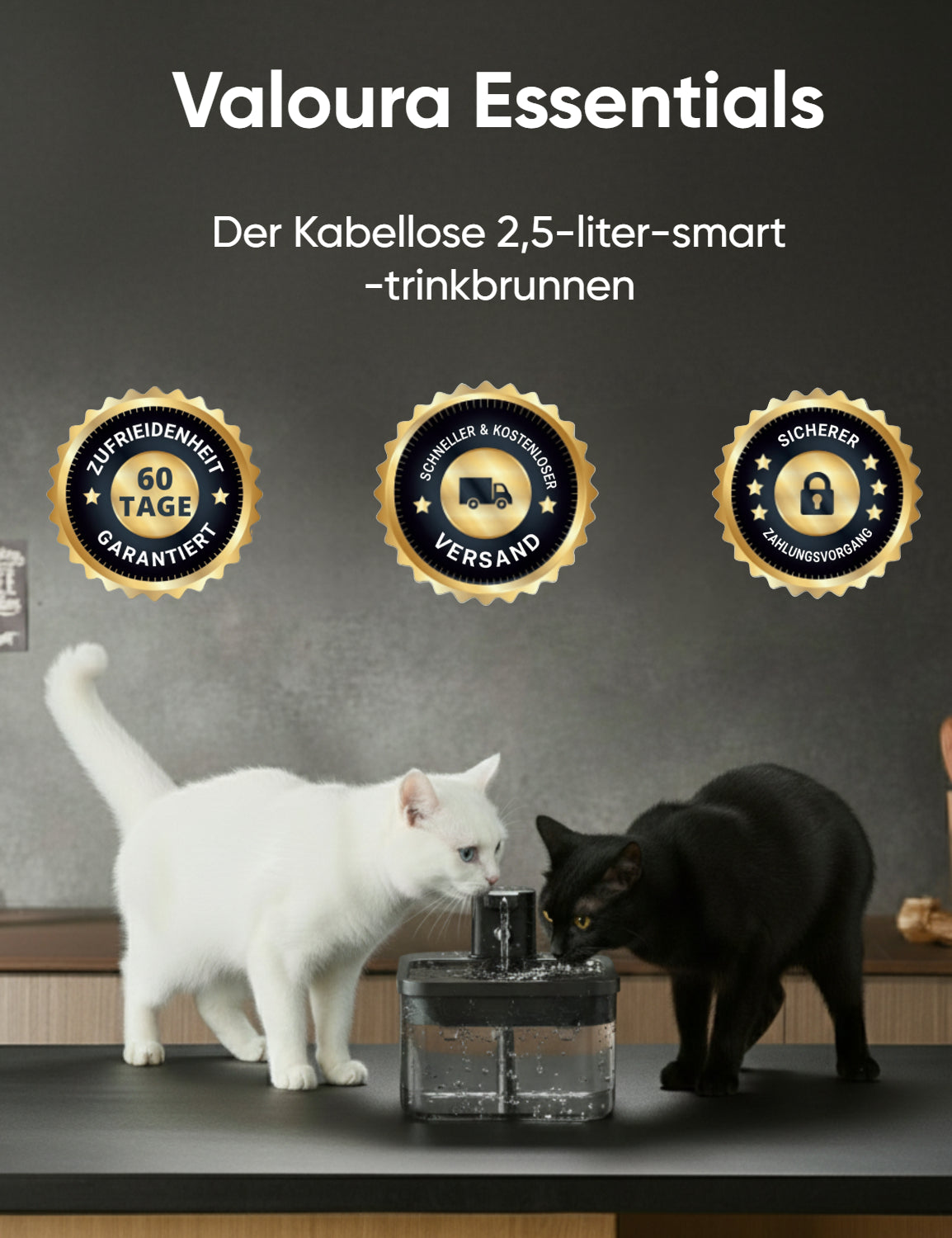 ValouraEssentials™ Cordless 2.5L Smart Fountain Bundle