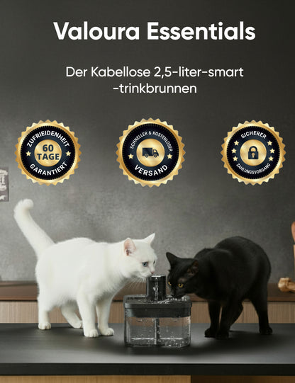 ValouraEssentials™ Cordless 2.5L Smart Fountain Bundle