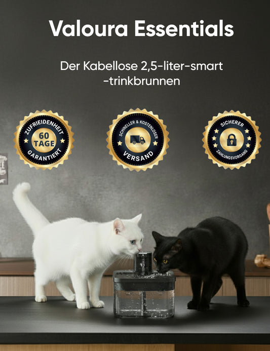 ValouraEssentials™ Cordless 2.5L Smart Fountain Bundle